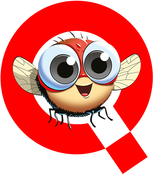 QuaiFly logo